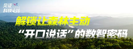 解锁让森林主动“开口说话”的数智密码